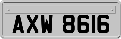 AXW8616