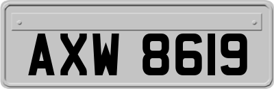 AXW8619