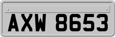 AXW8653