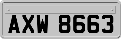 AXW8663