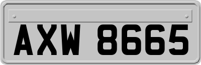 AXW8665