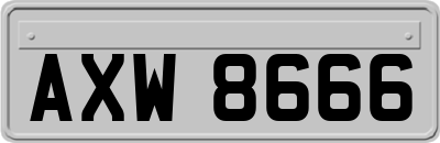 AXW8666