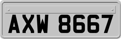 AXW8667