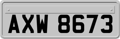 AXW8673