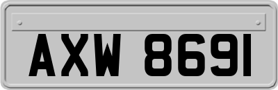 AXW8691