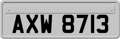 AXW8713
