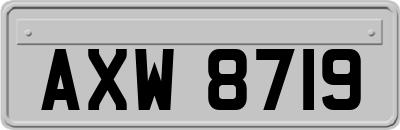 AXW8719