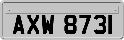 AXW8731