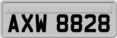 AXW8828