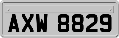 AXW8829