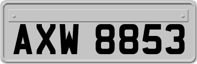 AXW8853