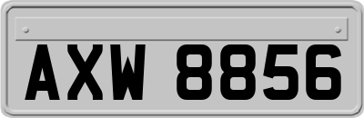 AXW8856