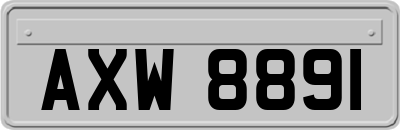 AXW8891