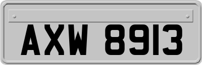AXW8913