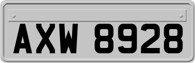 AXW8928