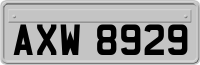 AXW8929