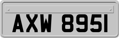 AXW8951