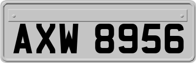 AXW8956