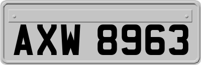 AXW8963