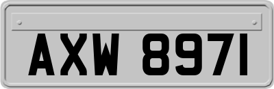 AXW8971