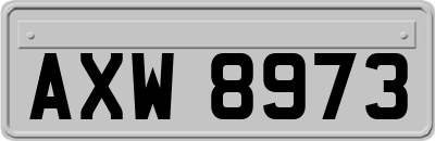 AXW8973
