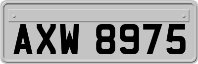 AXW8975
