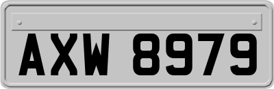 AXW8979