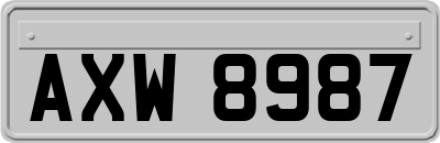 AXW8987