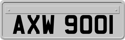 AXW9001