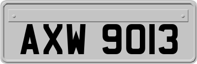 AXW9013