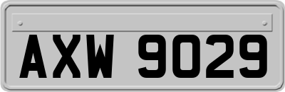 AXW9029