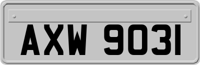 AXW9031