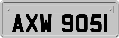 AXW9051