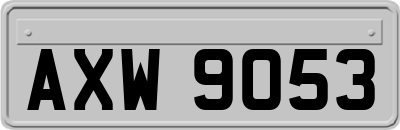 AXW9053