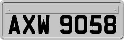 AXW9058