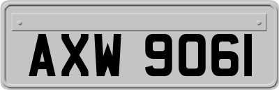 AXW9061