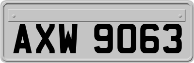 AXW9063