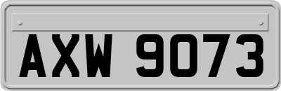 AXW9073