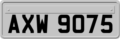 AXW9075