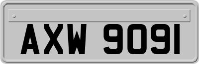 AXW9091