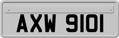 AXW9101