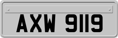 AXW9119