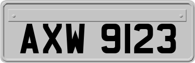 AXW9123