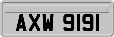 AXW9191