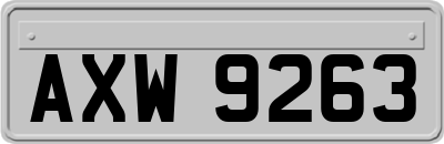 AXW9263