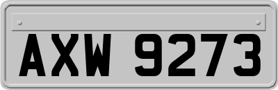 AXW9273