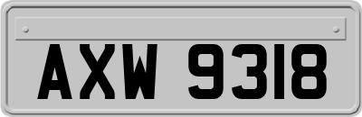 AXW9318