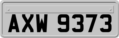 AXW9373