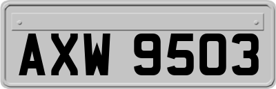 AXW9503