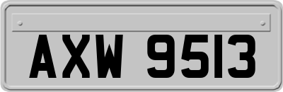 AXW9513